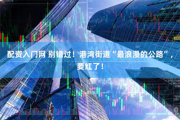 配资入门网 别错过！港湾街道“最浪漫的公路”，要红了！